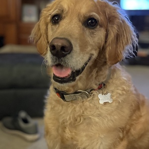 Carl Cares about Cheval Cares